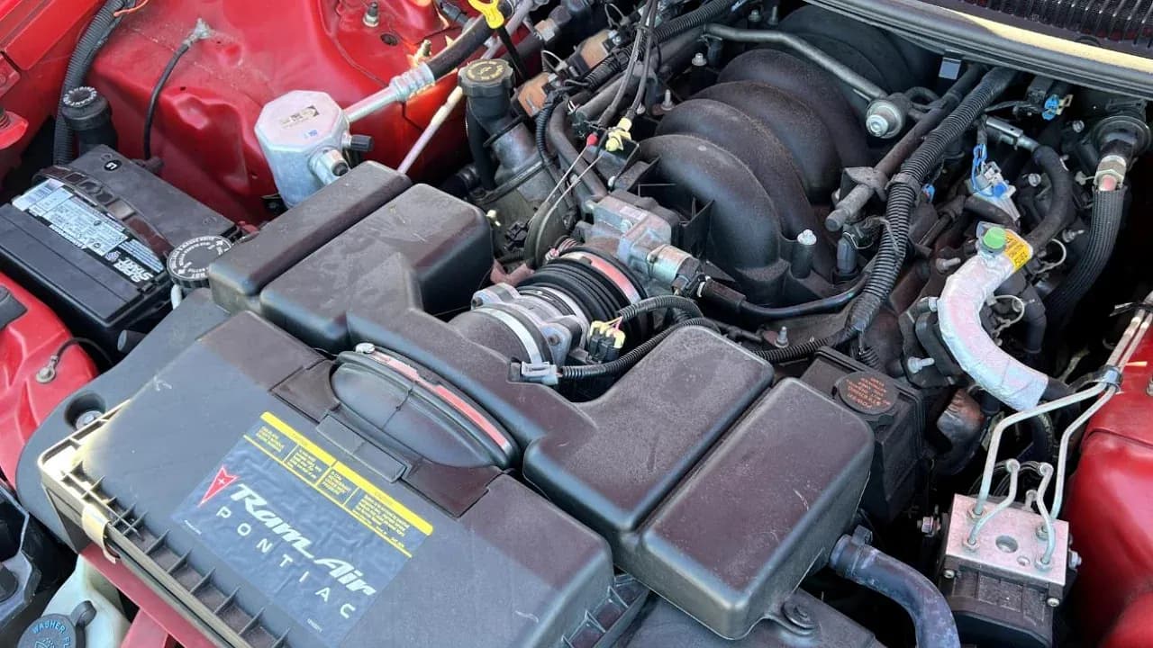 Последние вздохи Firebird: Trans Am и Firehawk