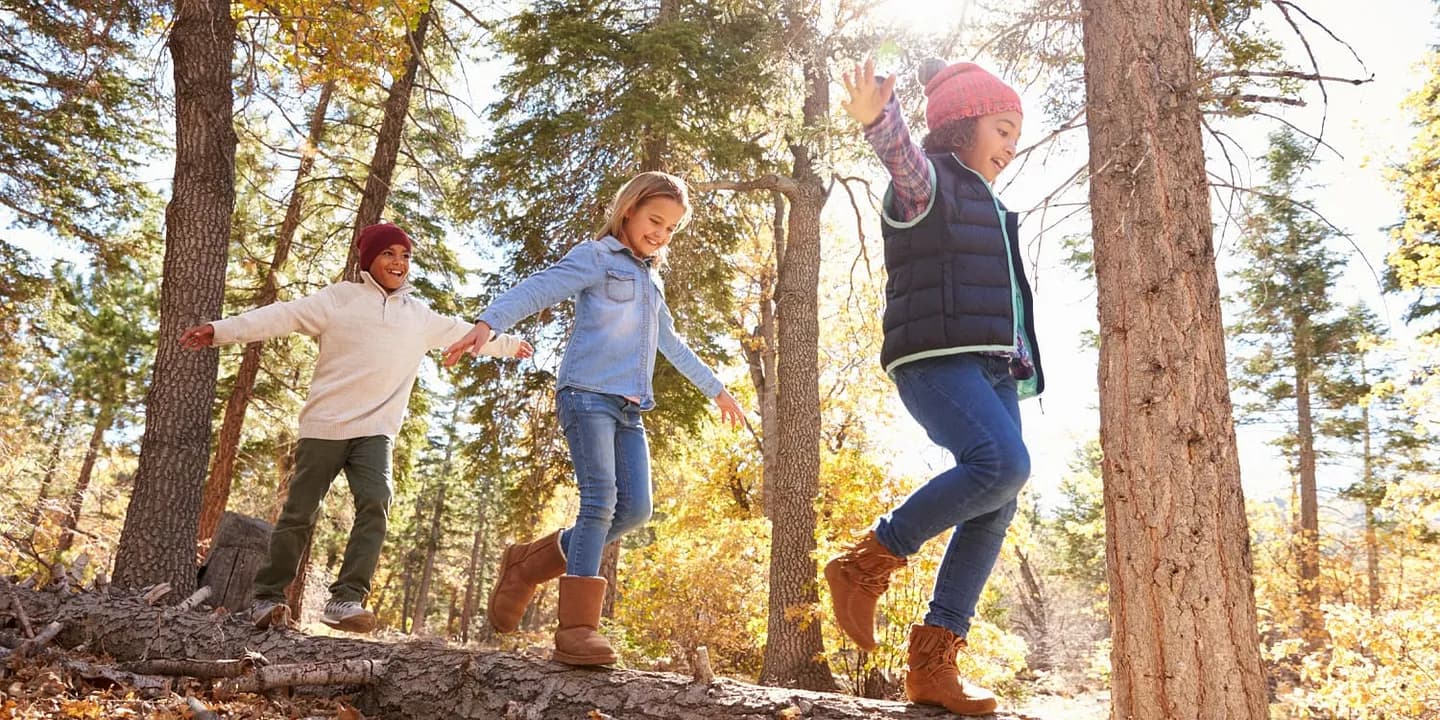 Зеленый абсурд: как outdoor-активности превратили детей в гениев