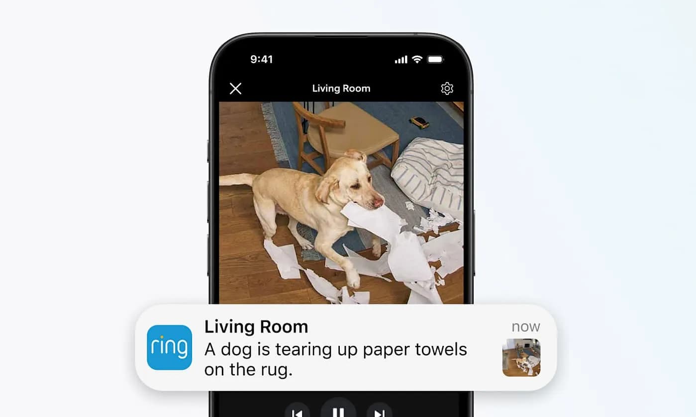 Новая фишка от Ring: ИИ слишком умный, чтобы спасать нас от собачников и современного бабского детектива!