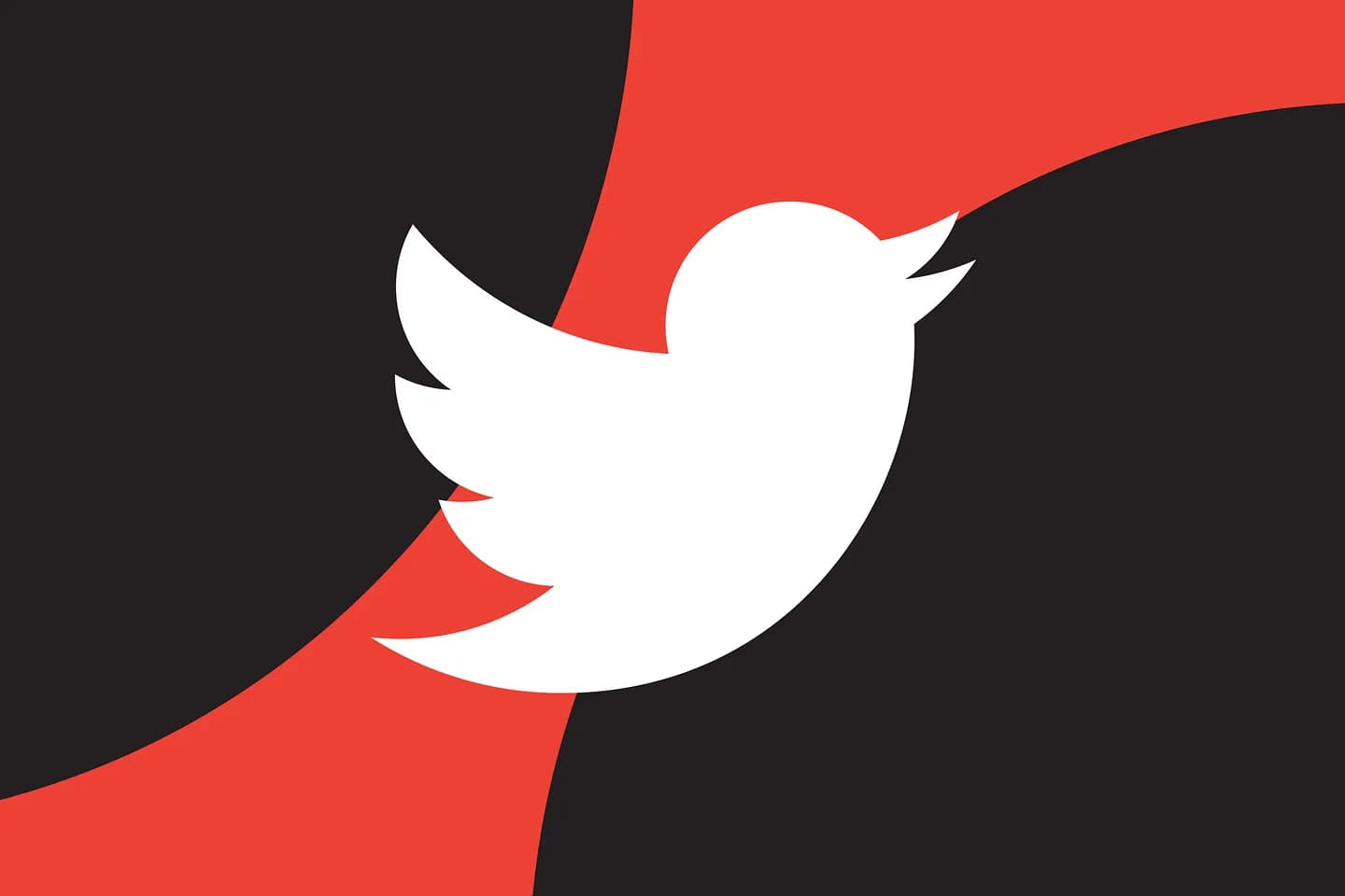 В поисках следующего Twitter — альтернативные социальные сети