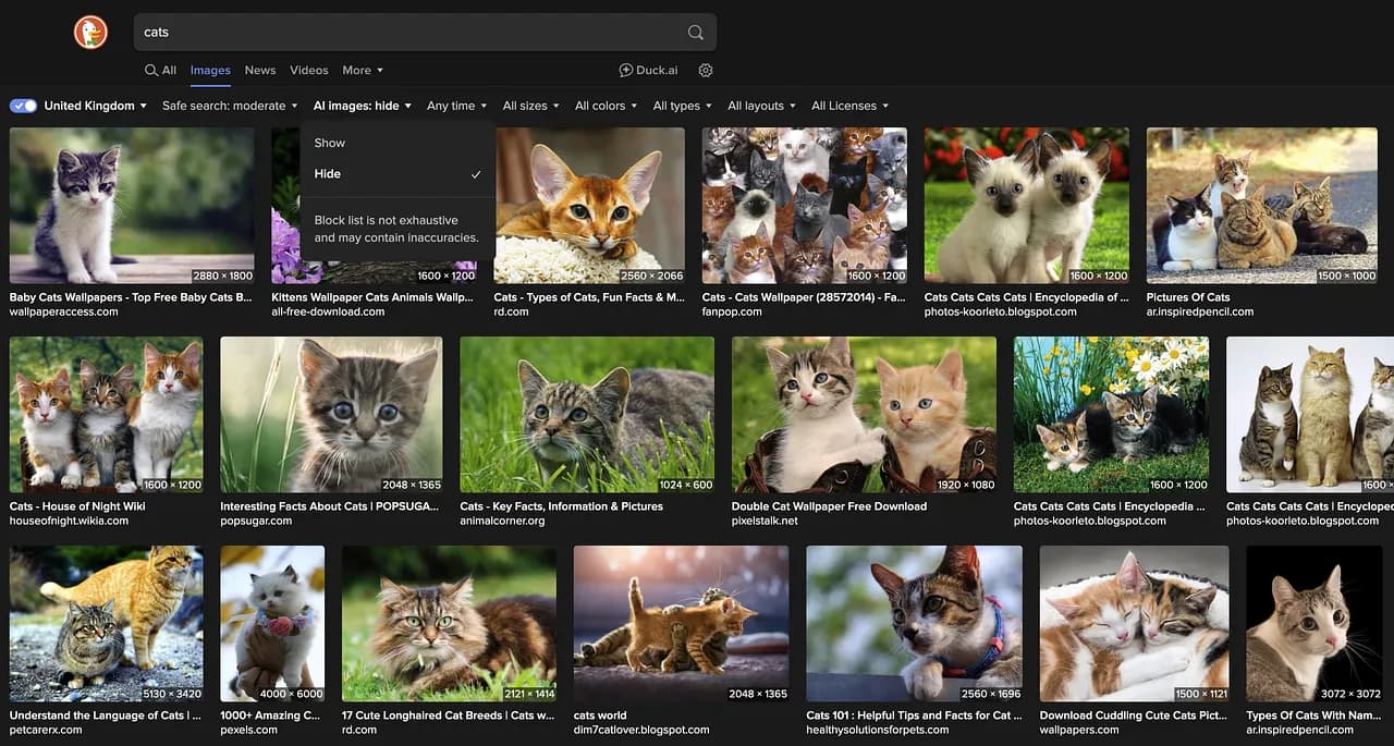 DuckDuckGo скрывает ИИ-изображения