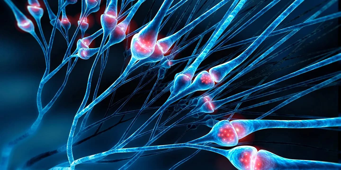 Непредсказуемые капризы циталопрама: когда сахар становится горьким