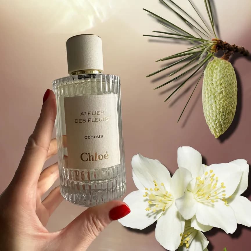 Весенний аромат для будущих ведьм: Chloé Atelier des Fleurs Cedrus