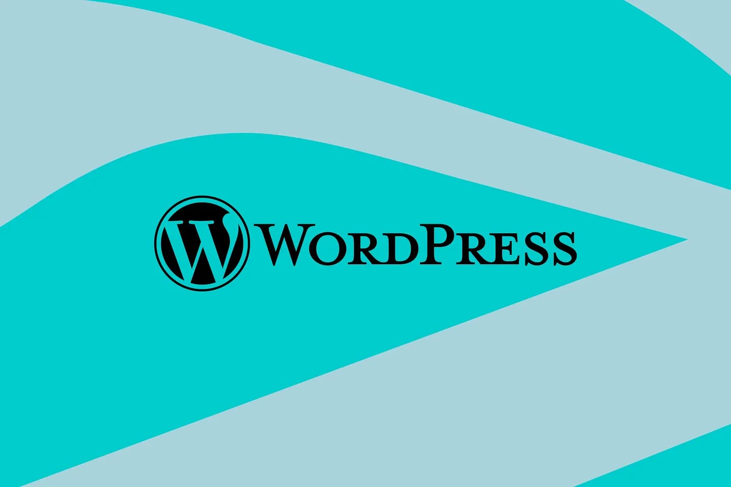 Сражение за WordPress: от рака до вымогательства