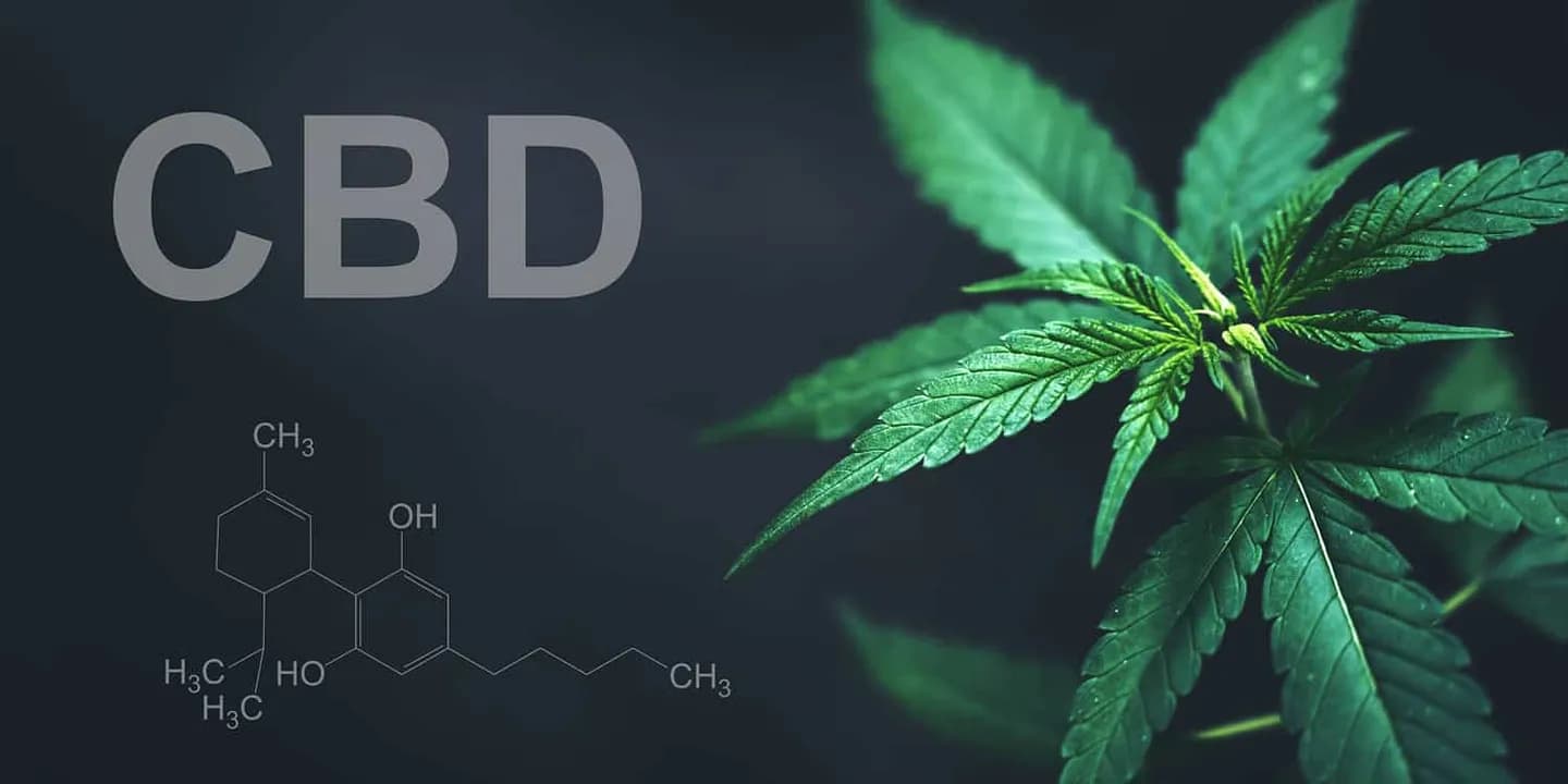 CBD: волшебное средство для улучшения утра или обычная уловка?