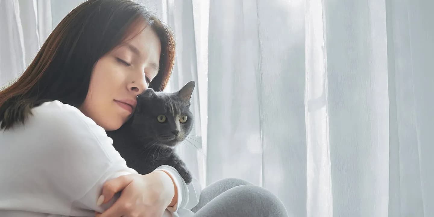 Питомцы, которых мы не выбрасываем: как любовь к ним лечит и калечит