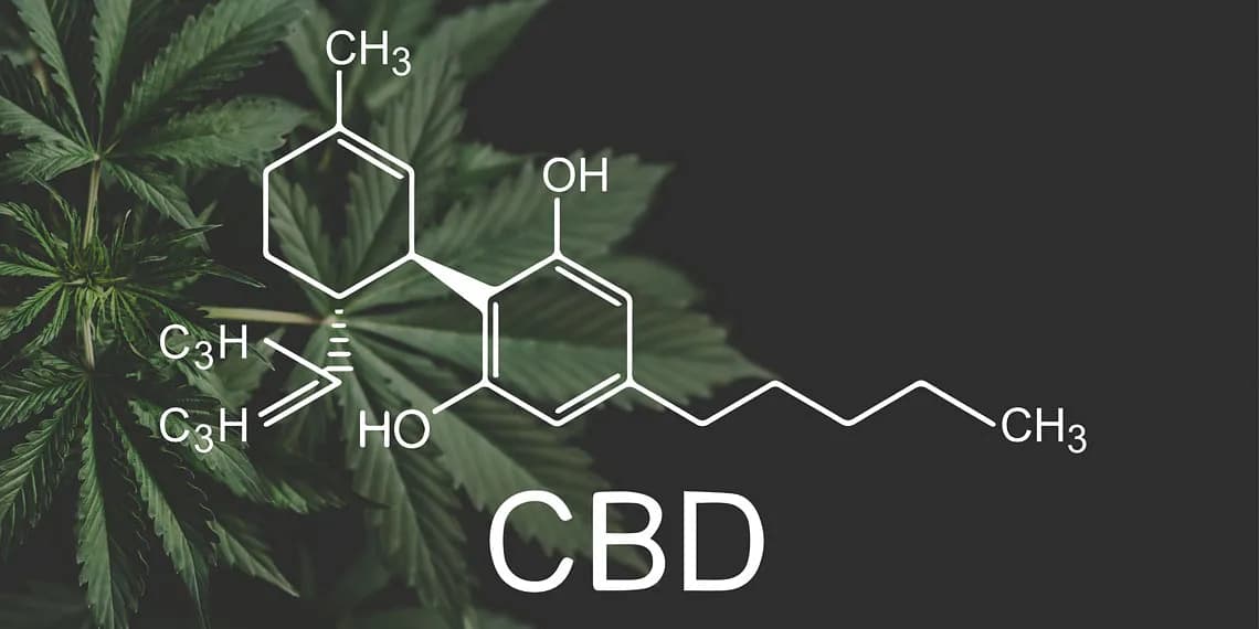 Каннабидиол: новый друг мозга или бесполезный тGreen?