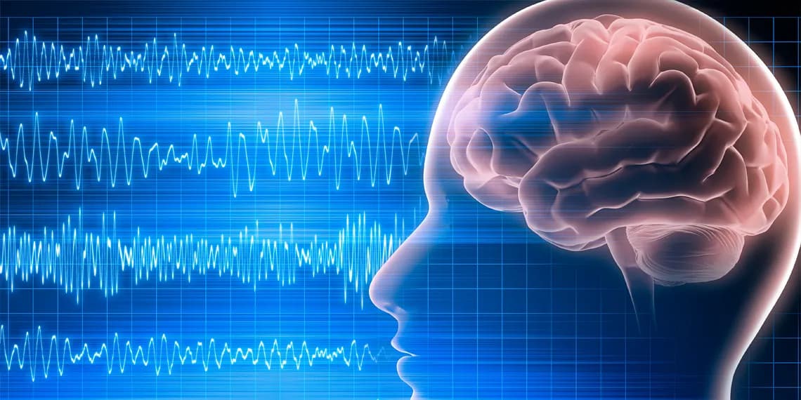 Новые ритмы мозга: как Альцгеймер и эпилепсия пляшут в такт