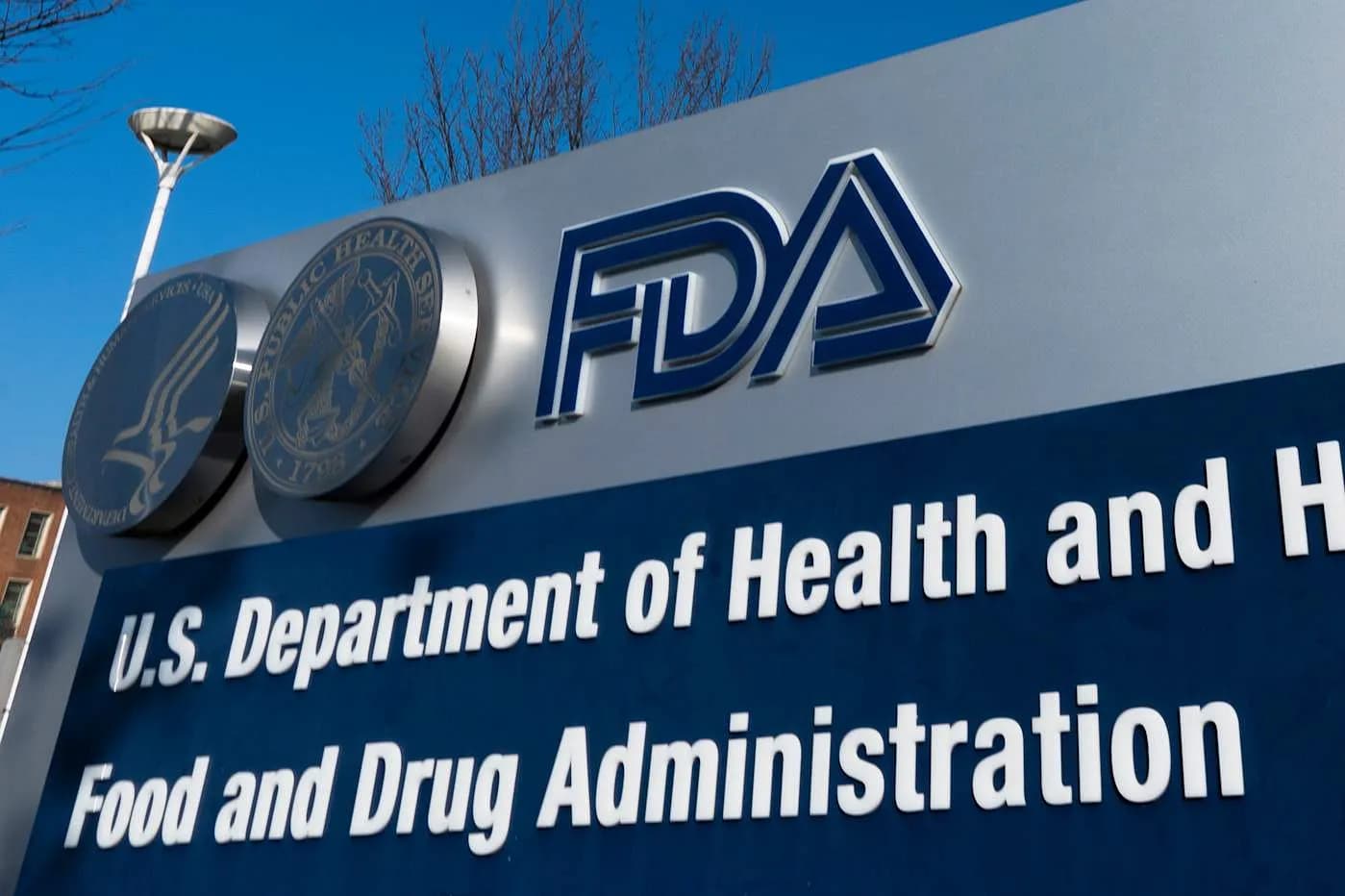 FDA запускает Эльзу: искусственный интеллект для подмоги в исследовательской кутерьме