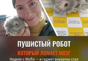 Неделя с роботом‑питомцем Moflin