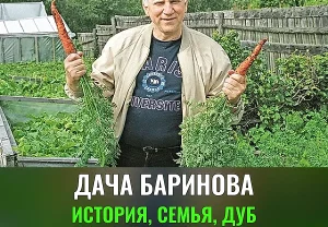 Семейное гнездо Баринова