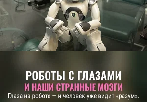 Глаза робота и человеческий мозг
