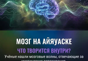 Мозг под кайеной правды