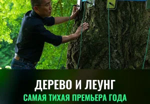 Тони Леунг и дерево