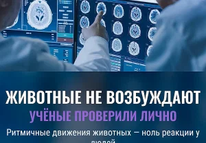 Когда учёные включили животным "кино"