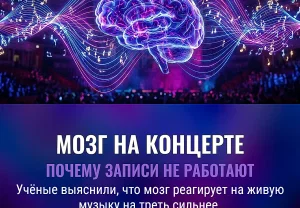 Когда мозг идёт на концерт
