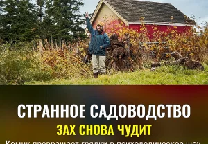 Зах Галифианакис и его странное садоводство