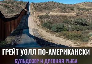 Бульдозер против искусства: США уничтожают индейское наследие ради стены