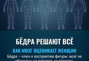 Тайная власть женских бёдер: почему мозг считает их эталоном фигуры