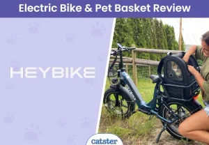 Обзор электровелосипеда Heybike Ranger S: теперь ваши коты могут отправиться в приключения!