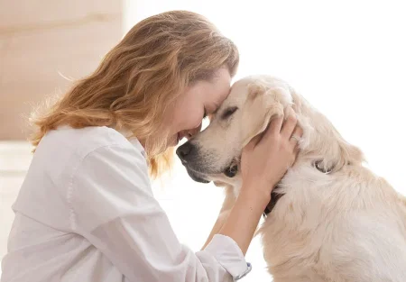 Как собаки понимают человеческие эмоции: наука объясняет