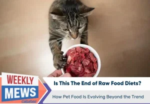 Конец сырых диет для кошек и собак? Эволюция питания домашних животных после нового отзыва продуктов