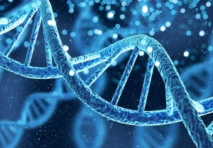 Генетика Альцгеймера и социальные связи: неожиданный поворот