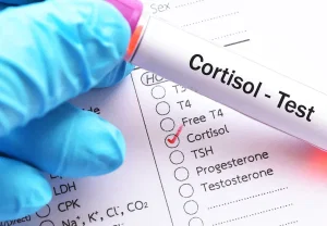 Гормоны и справедливость подростков: кому конфету — другу или незнакомцу?