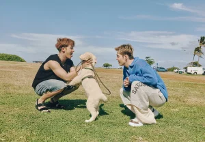 SEVENTEEN: Разделяя юность на двоих