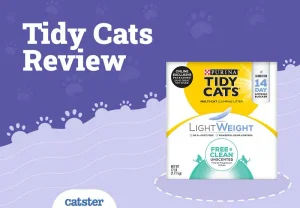 Обзор наполнителя Tidy Cats: плюсы, минусы и вечная глина
