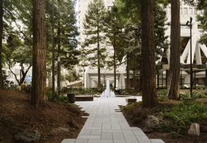 ICA San Francisco: музей на чемоданах и с амбициями