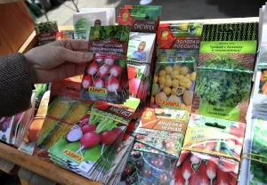 Осторожно: семена! На что смотреть при покупке