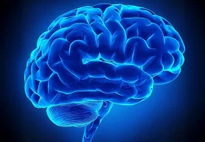 Как мозг разделяет речь?