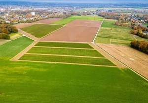 Кому дают землю после СВО: кто вправе претендовать и как получить участок