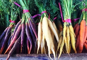 Подзимний посев моркови