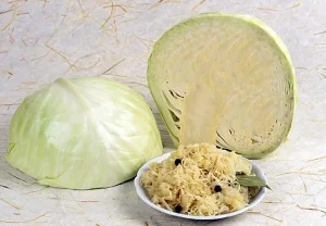 Какая капуста станет звездой квашения?