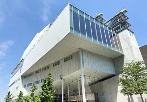 Whitney Biennial 2026: список художников раскрыт