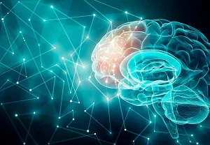 Самые популярные исследования психологии и нейронауки 2025 года