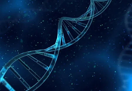 Гены против стресса: как устроены сверхсолдаты