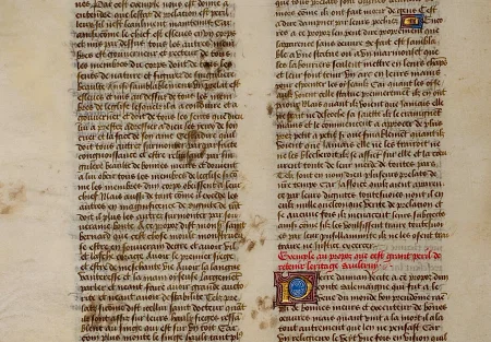 След лапы на истории