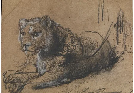 Рембрандт и исчезающий лев