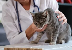 Когда ленточка становится смертельной