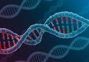 Травма детства и гены: две дороги к алкоголизму