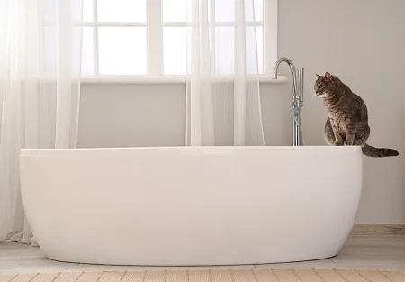 Нужны ли котам ванны