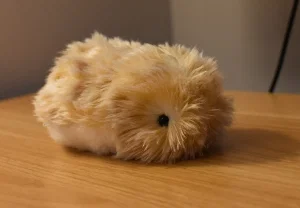 Ненавистный пушистый интеллект