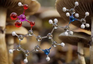 Псилоцибин против ожирения