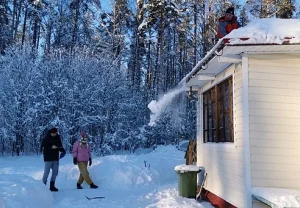 Когда дача становится проблемой