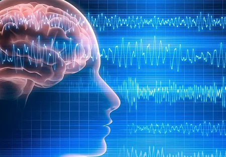 Нарциссы и ошибки мозга