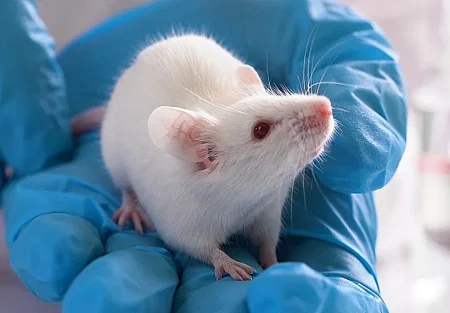 Кетамин против стресса