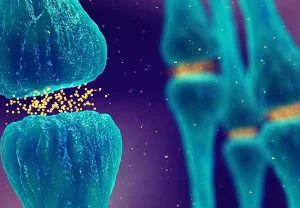 Как мозг ест нас